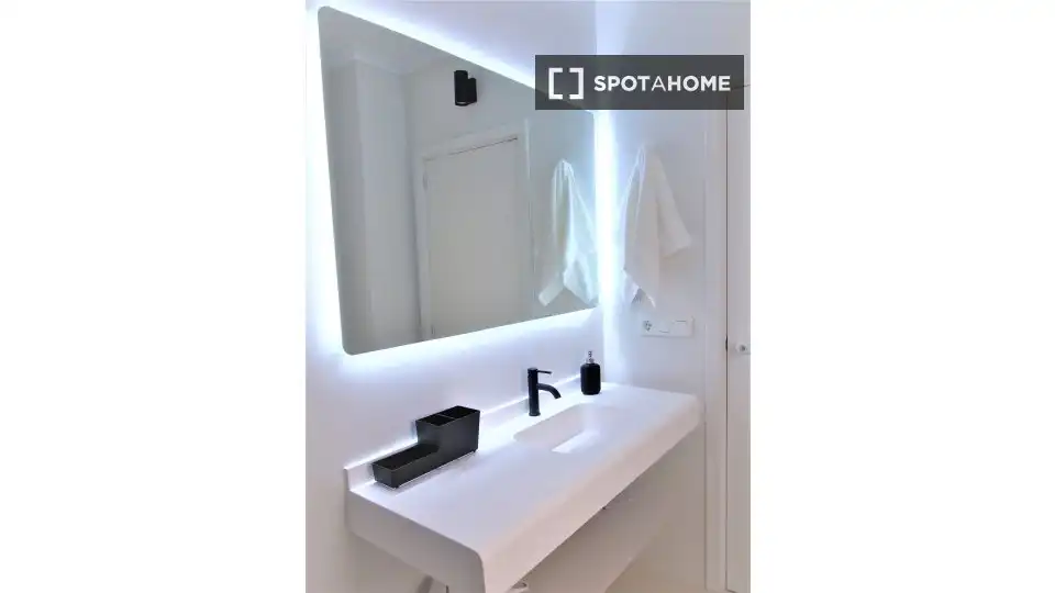 Bathroom of Apartments for share in Alicante / Alacant  with Air Conditioner, Terrace and Furnished
