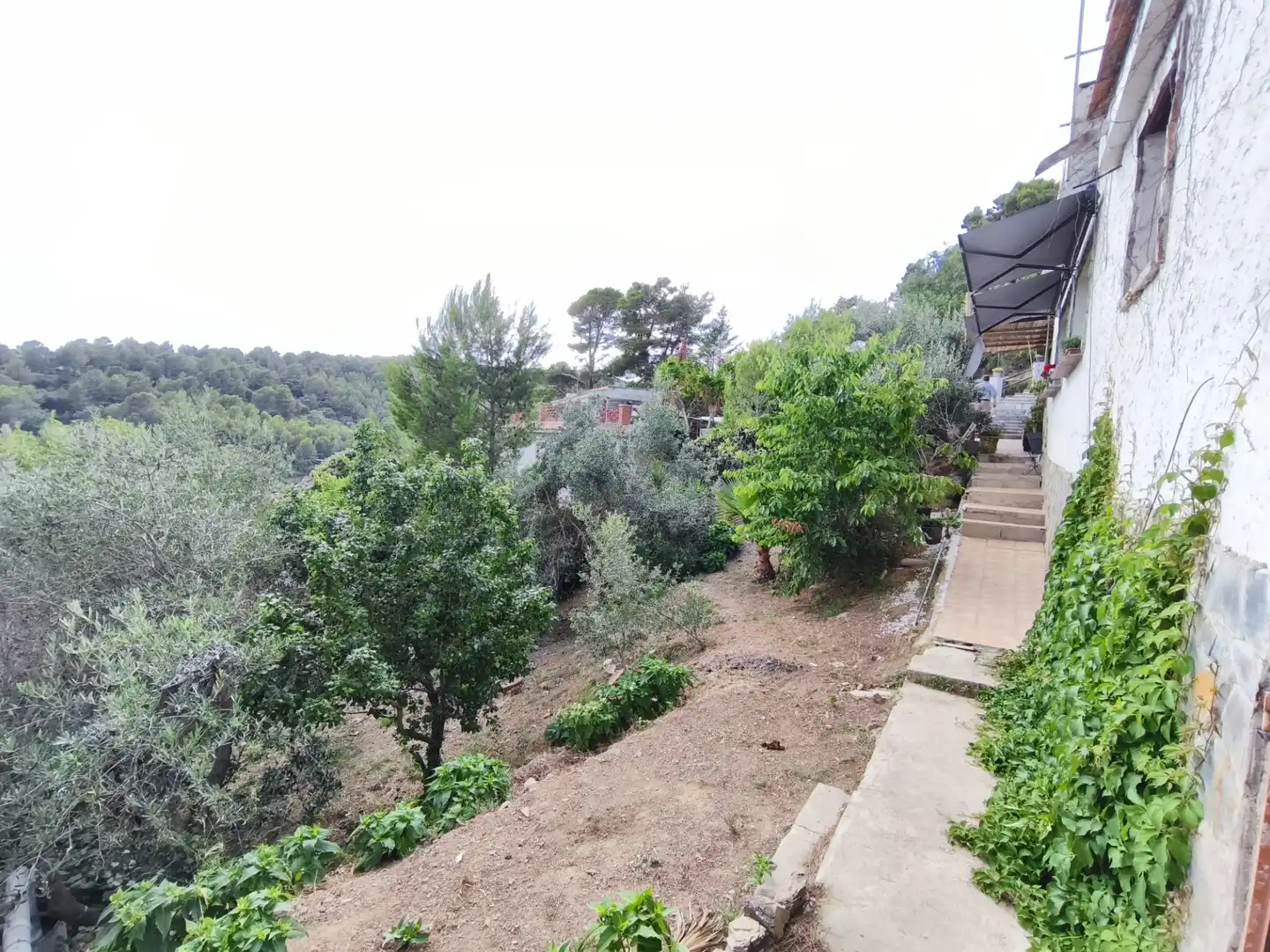 Chalet con terraza en venta en Carrer Arbolí 22, imagen 20