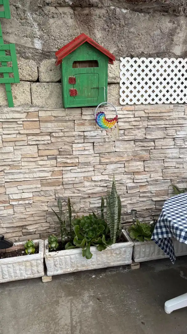 Garden of Residential for sale in Fasnia