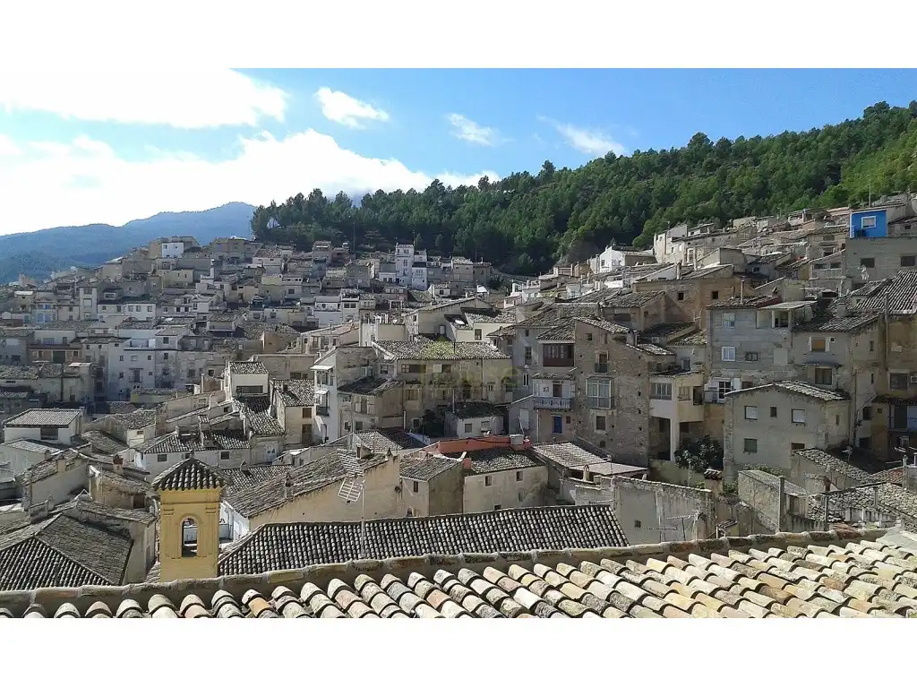 Maison à vendre à Calle Cerro De Casa Vieja -Cañ., imagen 19