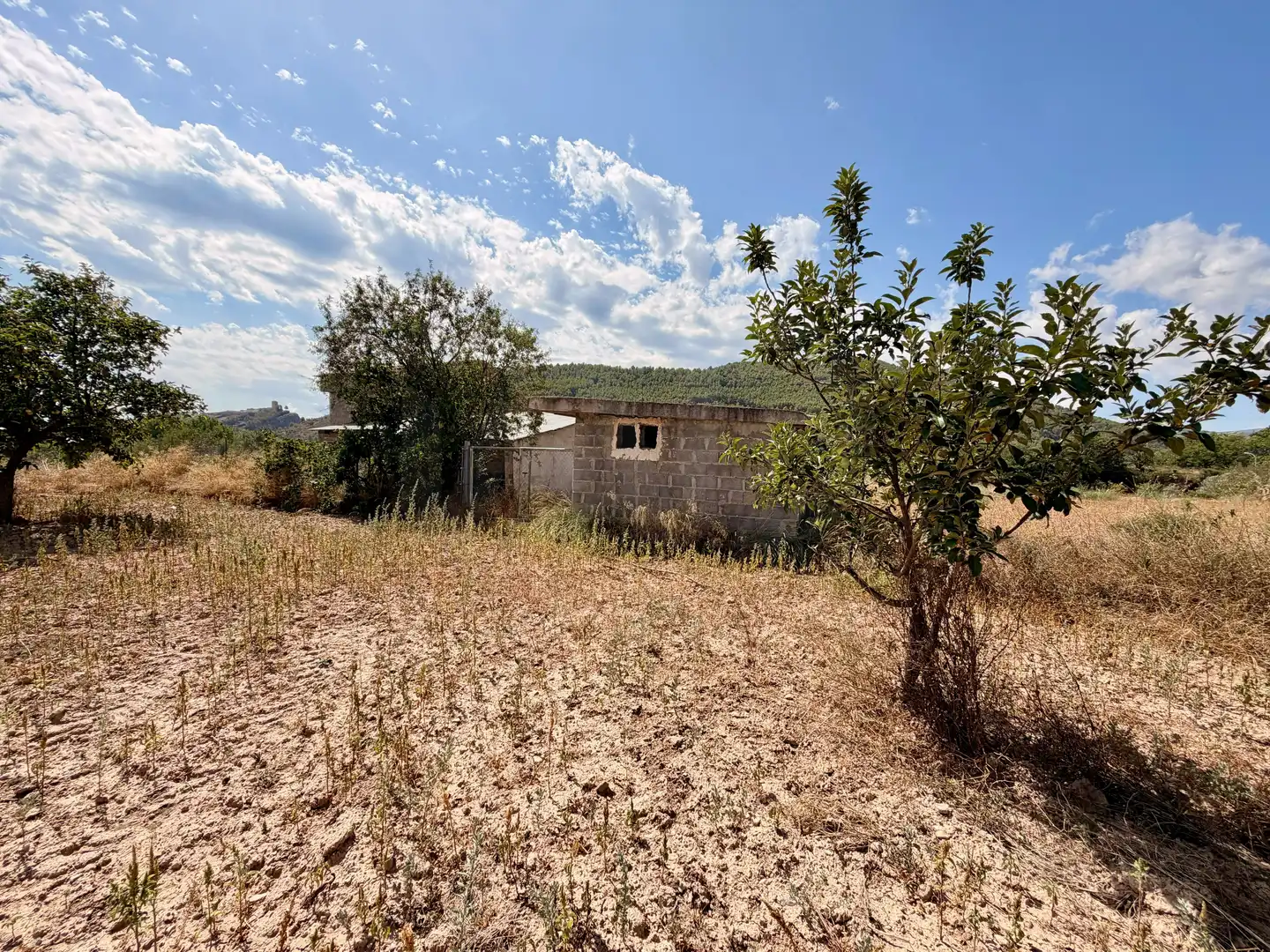Houses for sale in Viver  with Terrace
