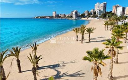 Vista exterior de Estudi en venda en Alicante / Alacant amb Aire condicionat, Jardí privat i Terrassa