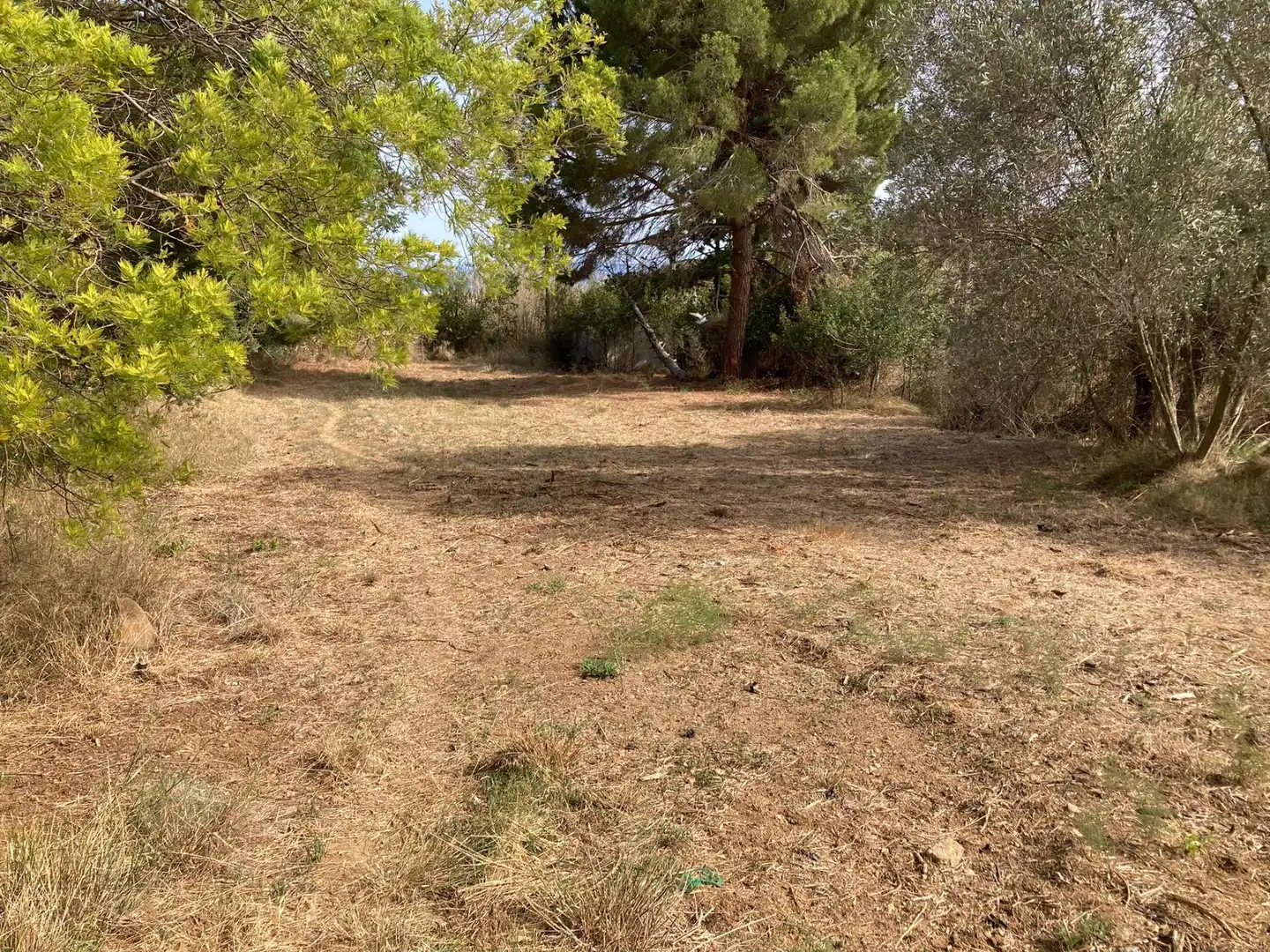 Terreno en venta en Pineda de Mar