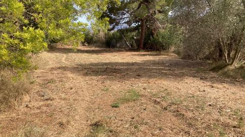 Photo 2 of Land for sale in Calle Torrent Dels Frares, Can Moré - Santa Anna - Can Feliu de Merola, Barcelona