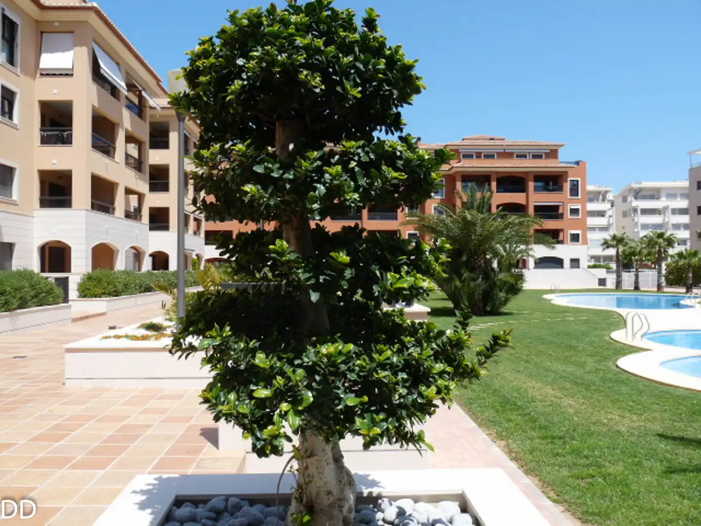 Apartament amb piscina de lloguer a Las Marinas / Les Marines, imagen 3