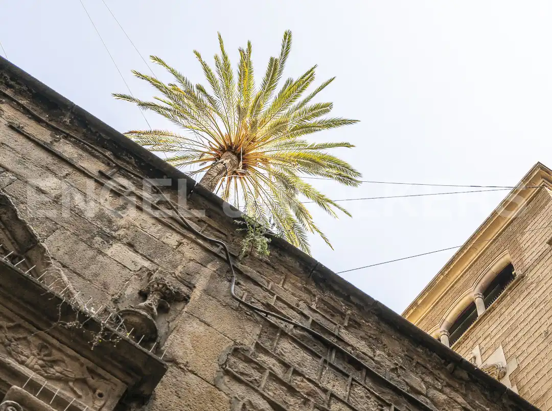 Vista exterior de Piso en venta en Barcelona con Aire acondicionado, Calefacción y Balcón