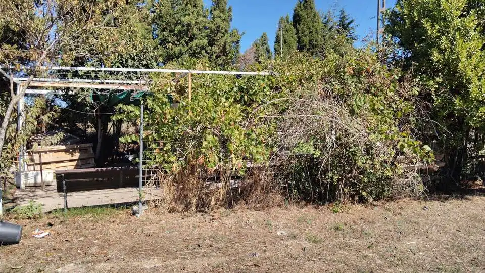 Terreny rústic en venda a Vall-llobrega, imagen 2