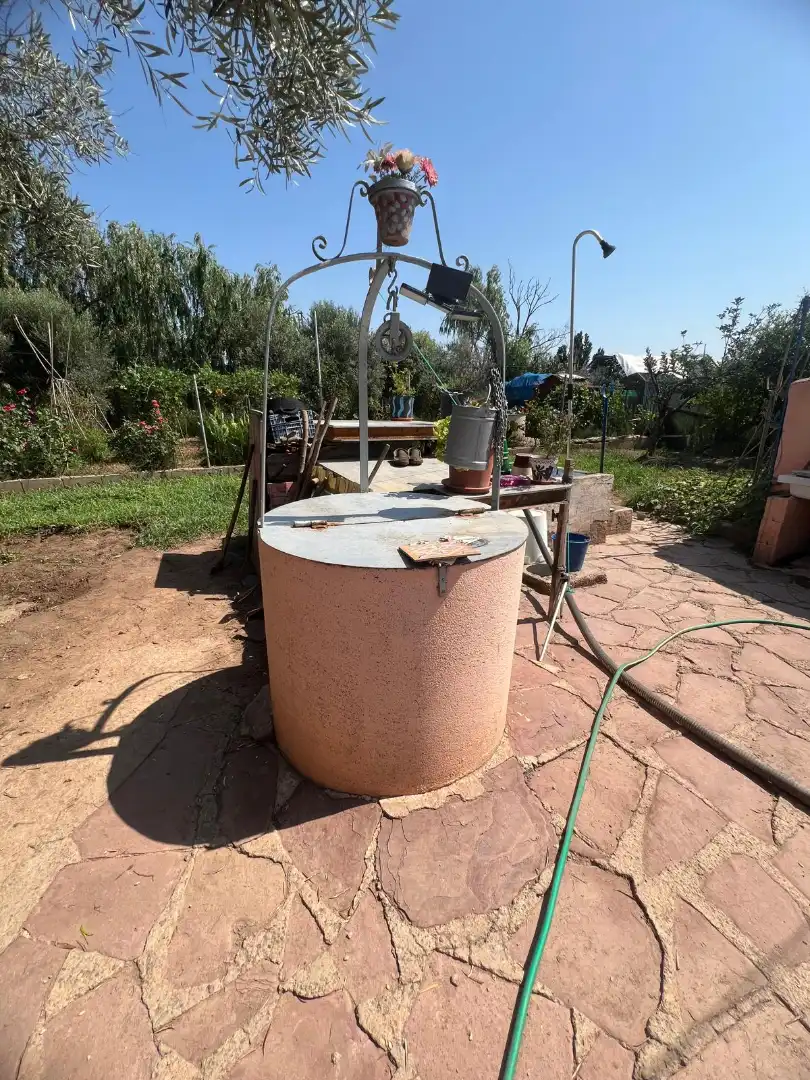 Garden of Country homes for sale in Castellón de la Plana / Castelló de la Plana  with Terrace and Swimming Pool