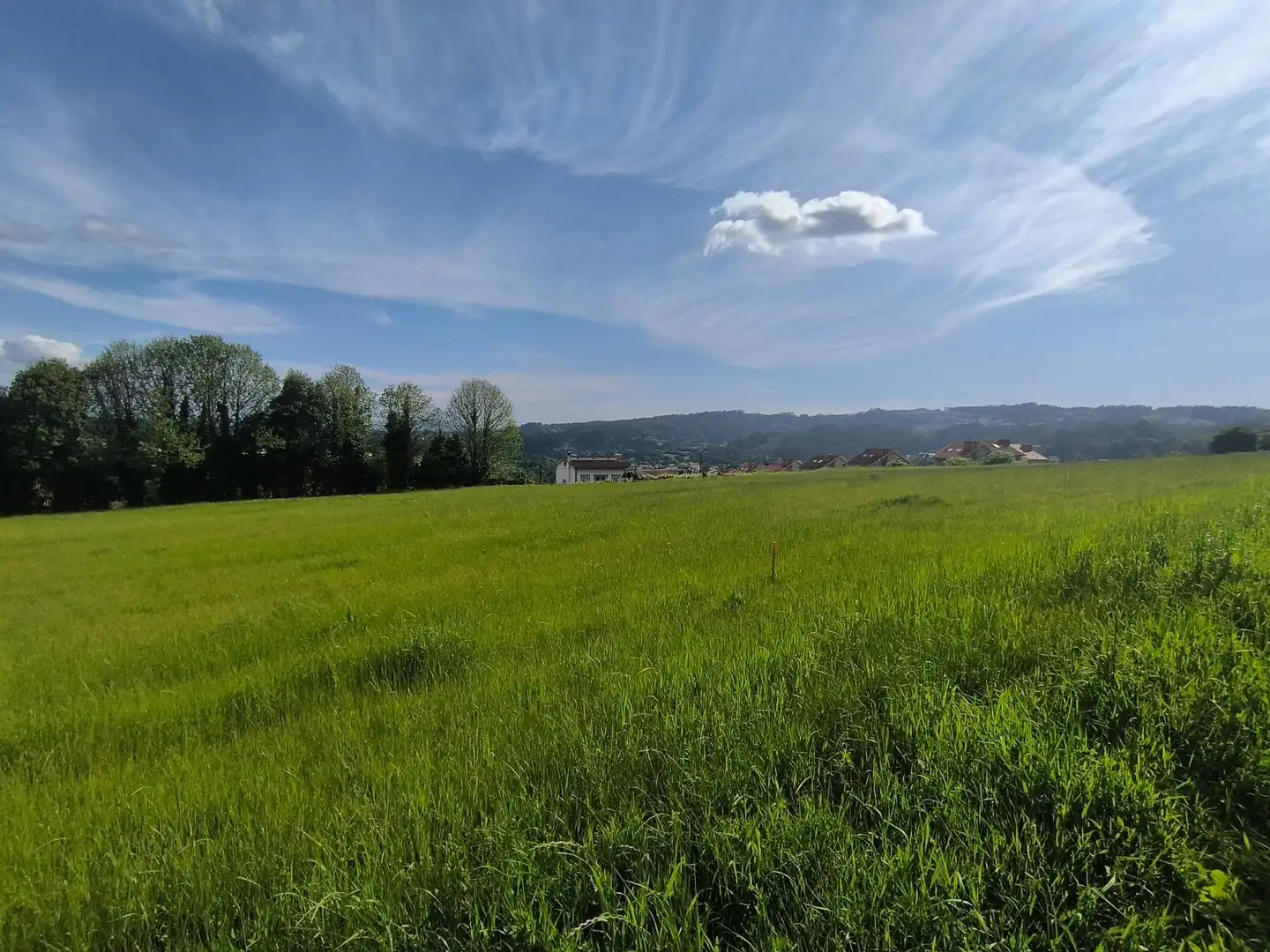 Terreni e lotti in vendita a Lugar IGREXARIO EIXO, imagen 18