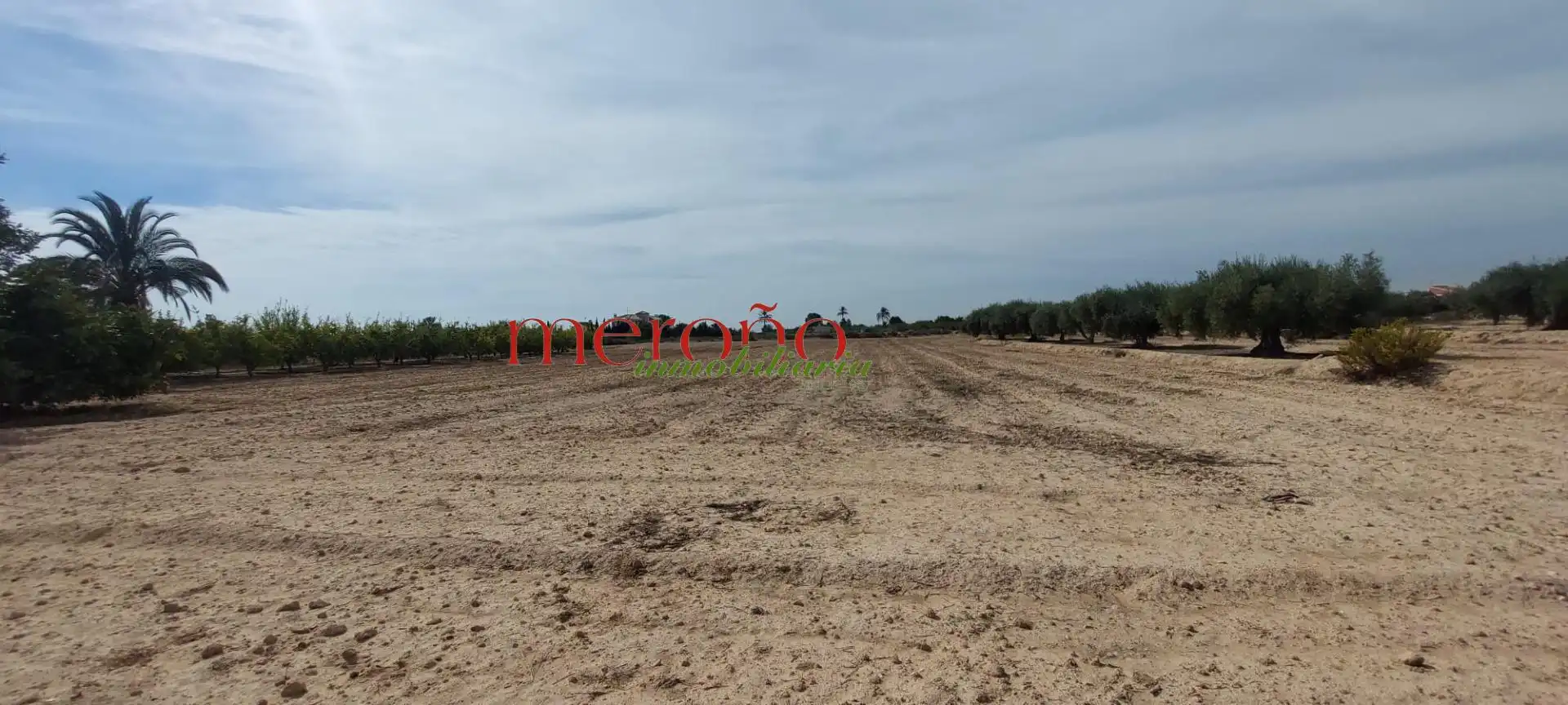 Terreno residencial en venta en Elche ciudad, imagen 4