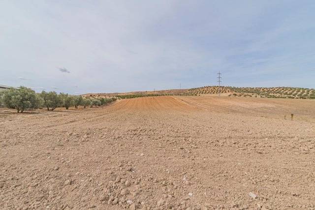 Terreno en Venta en La Malahá