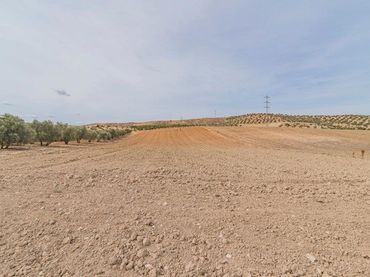 Terreno rustico in vendita a La Malahá