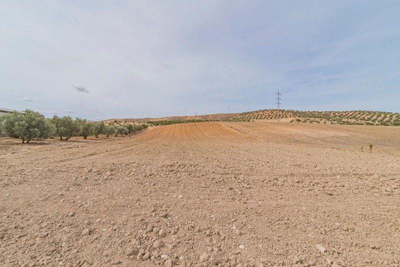 Photo 1 of Land for sale in La Malahá, Granada