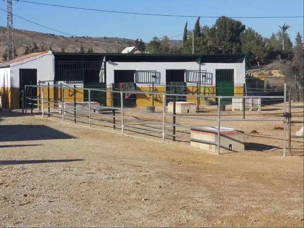 Vista exterior de Piso en venta en Fortuna