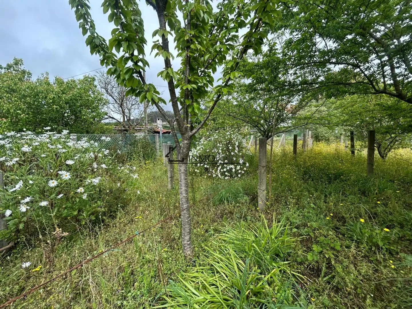 Casa o xalet en venda en Poio amb Calefacció, Jardí privat i Terrassa