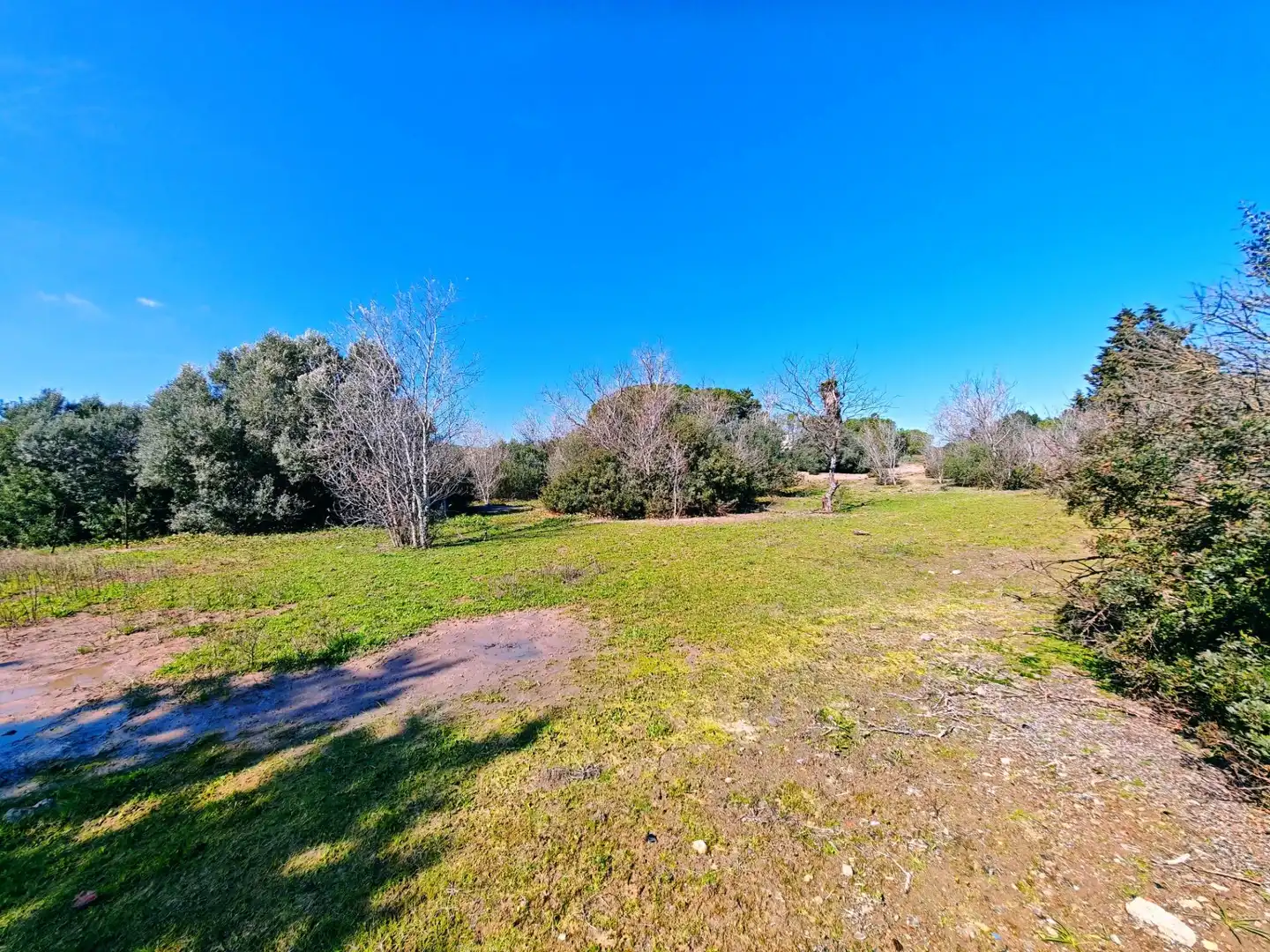 Casa o chalet en venta en Medina Sidonia con Jardín privado, Piscina y Amueblado