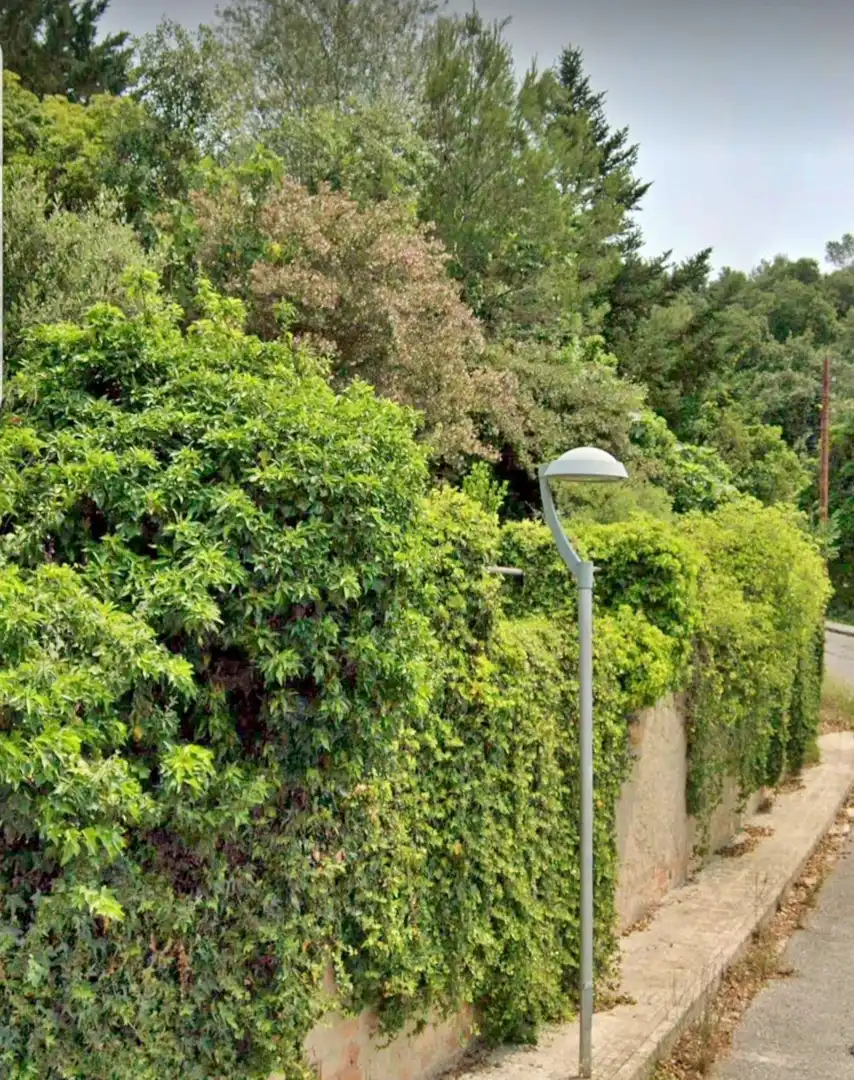 Terrains et parcelles à vendre à Bigues i Riells del Fai, imagen 8