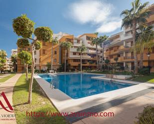 Piscina de Apartament de lloguer en Torrevieja amb Aire condicionat, Terrassa i Moblat