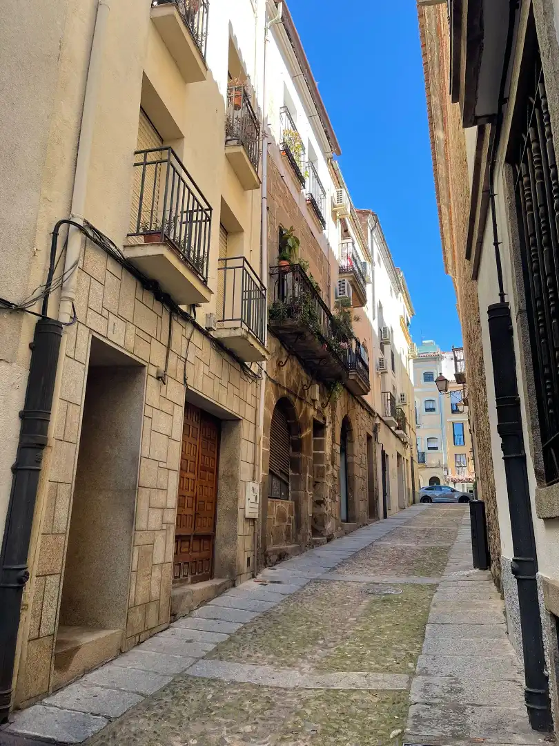 Exterior view of Buildings for sale in Plasencia