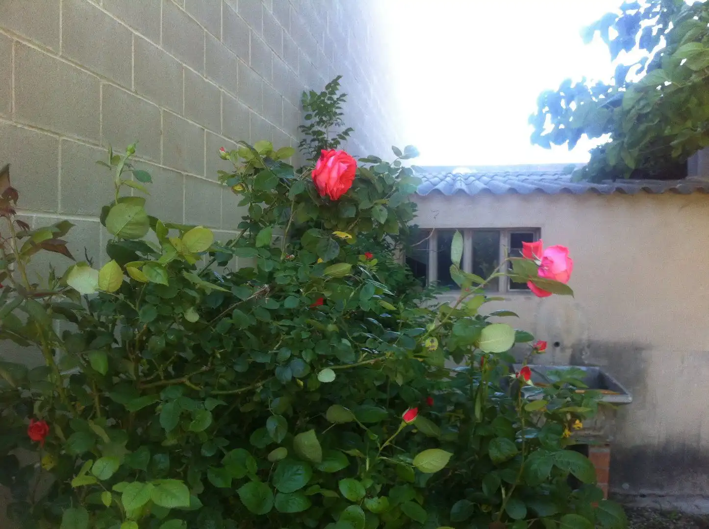 Garden of Country homes for sale in Vilaverd  with Private garden, Terrace and Storage room