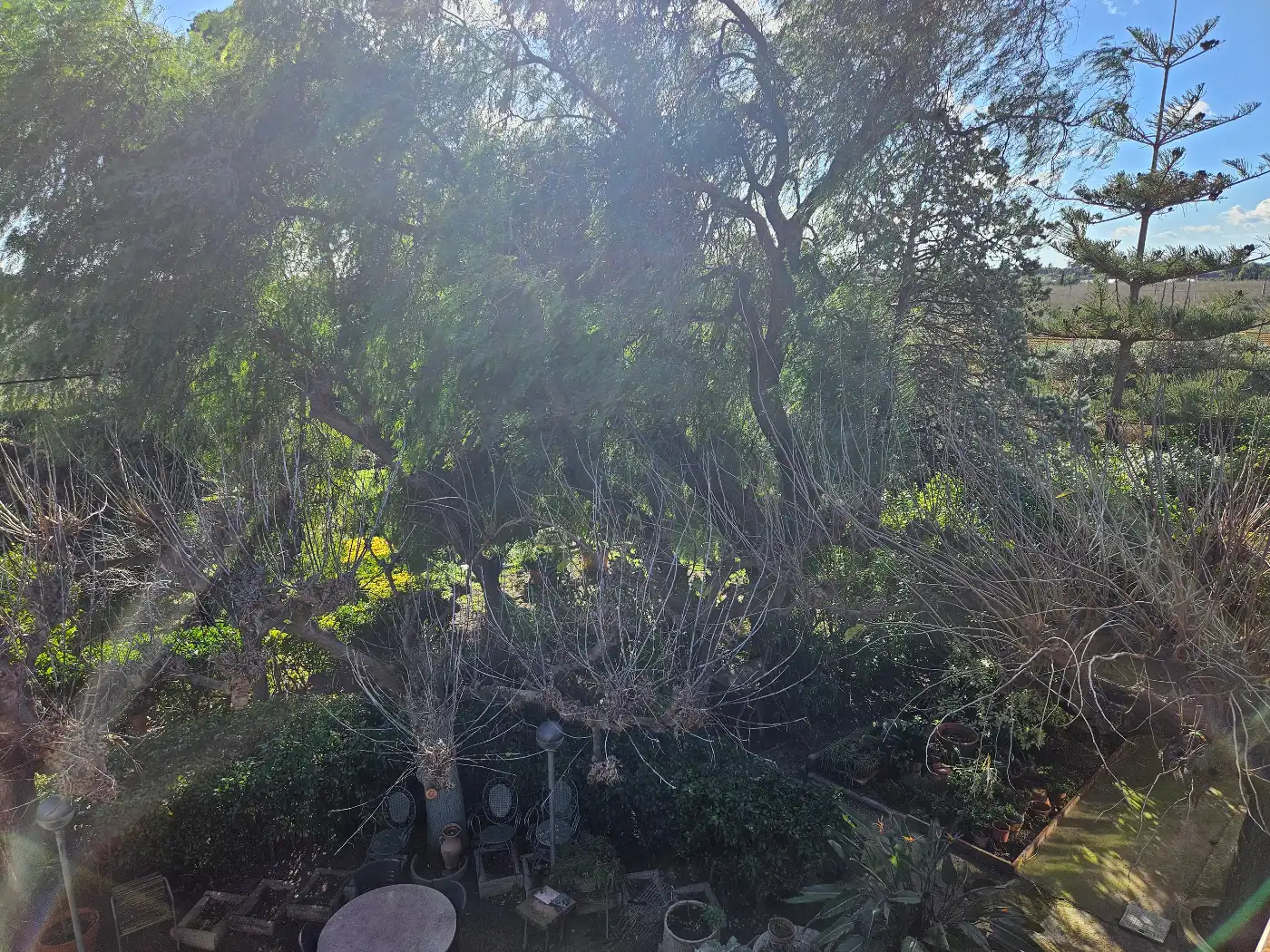 Garten von Country house zum Verkauf in Reus mit Klimaanlage, Privatgarten und Terrasse