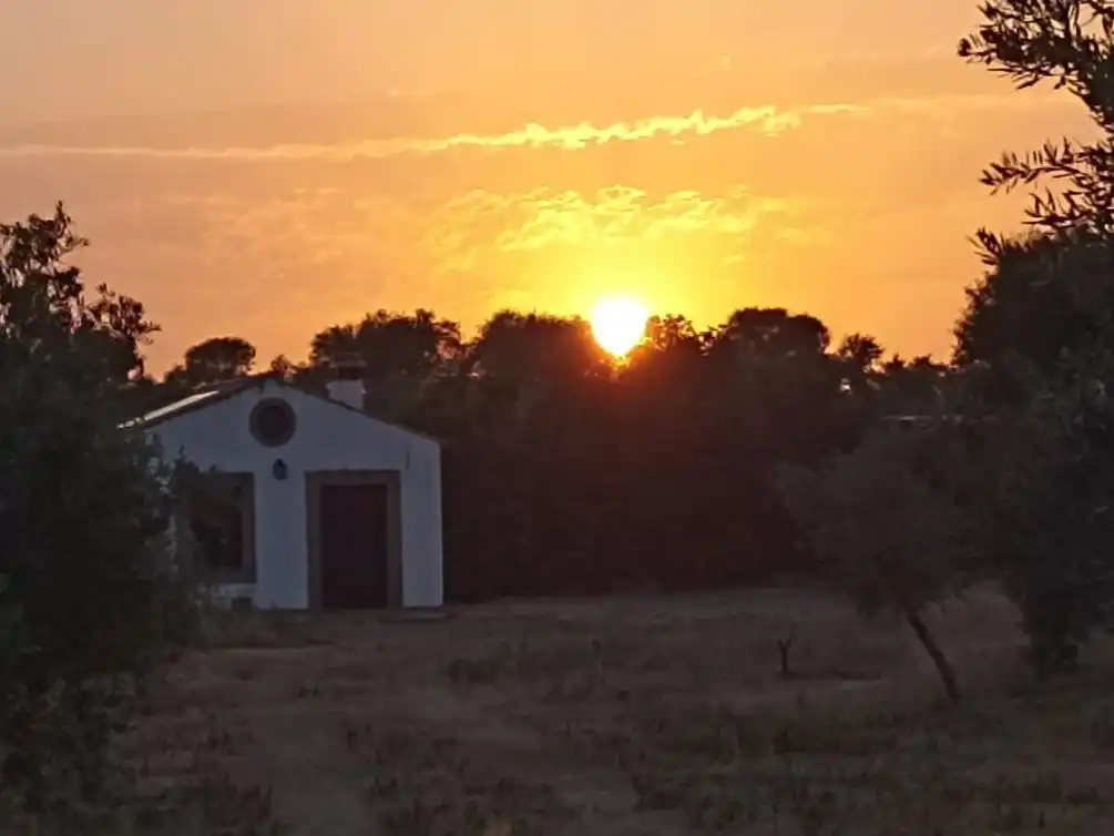 Vista exterior de Terreno en venta en Quintana de la Serena