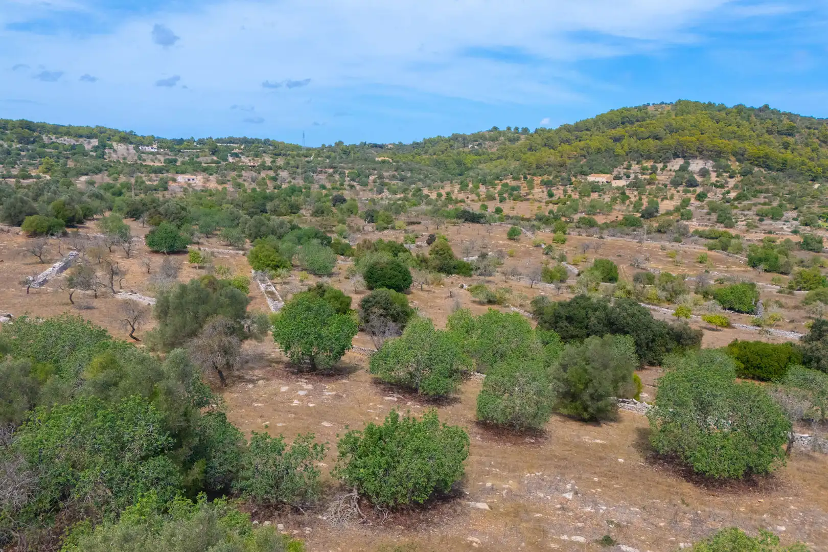 Terrain résidentiel à vendre à Son Servera Poble, imagen 9