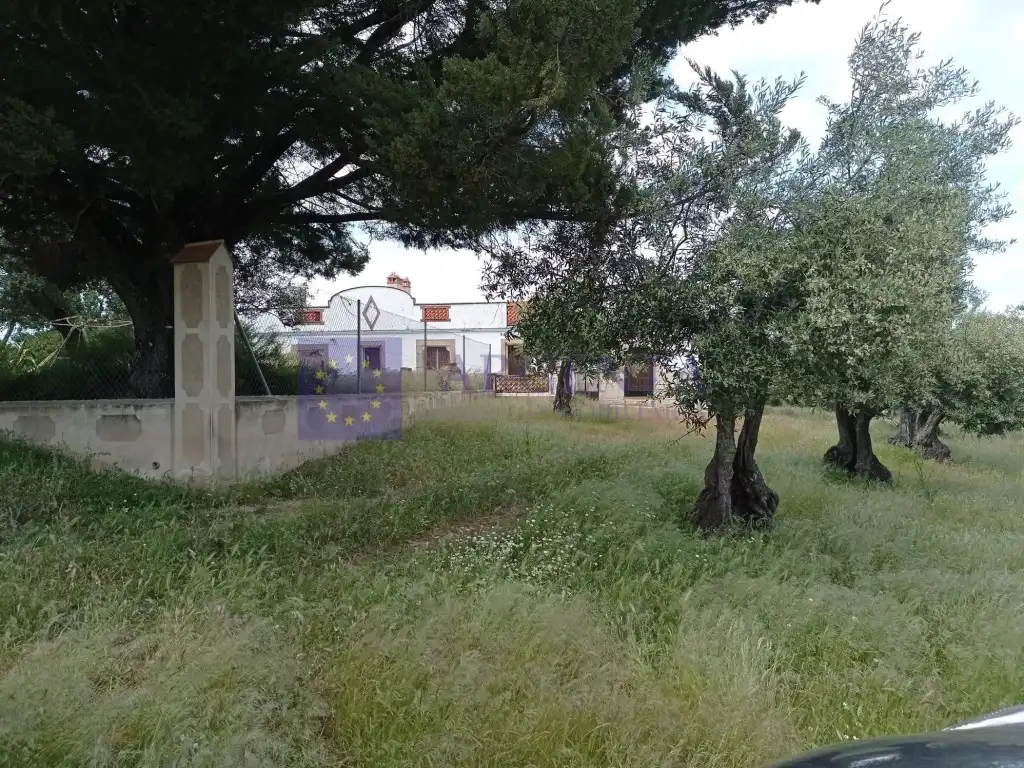 Houses for sale in Diseminados S Miguel, Alcántara