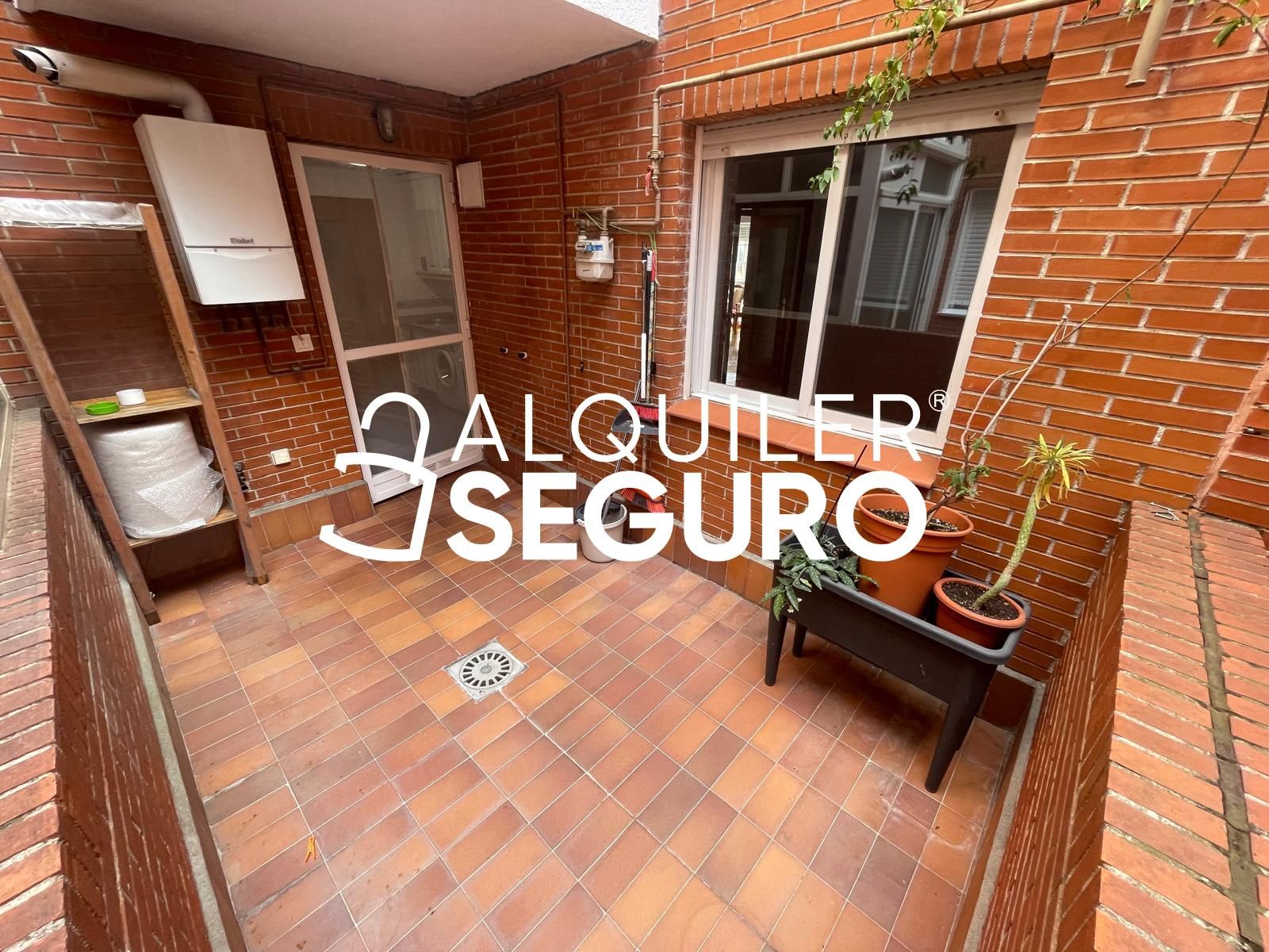 Flat to rent in Principe, Centro Urbano
