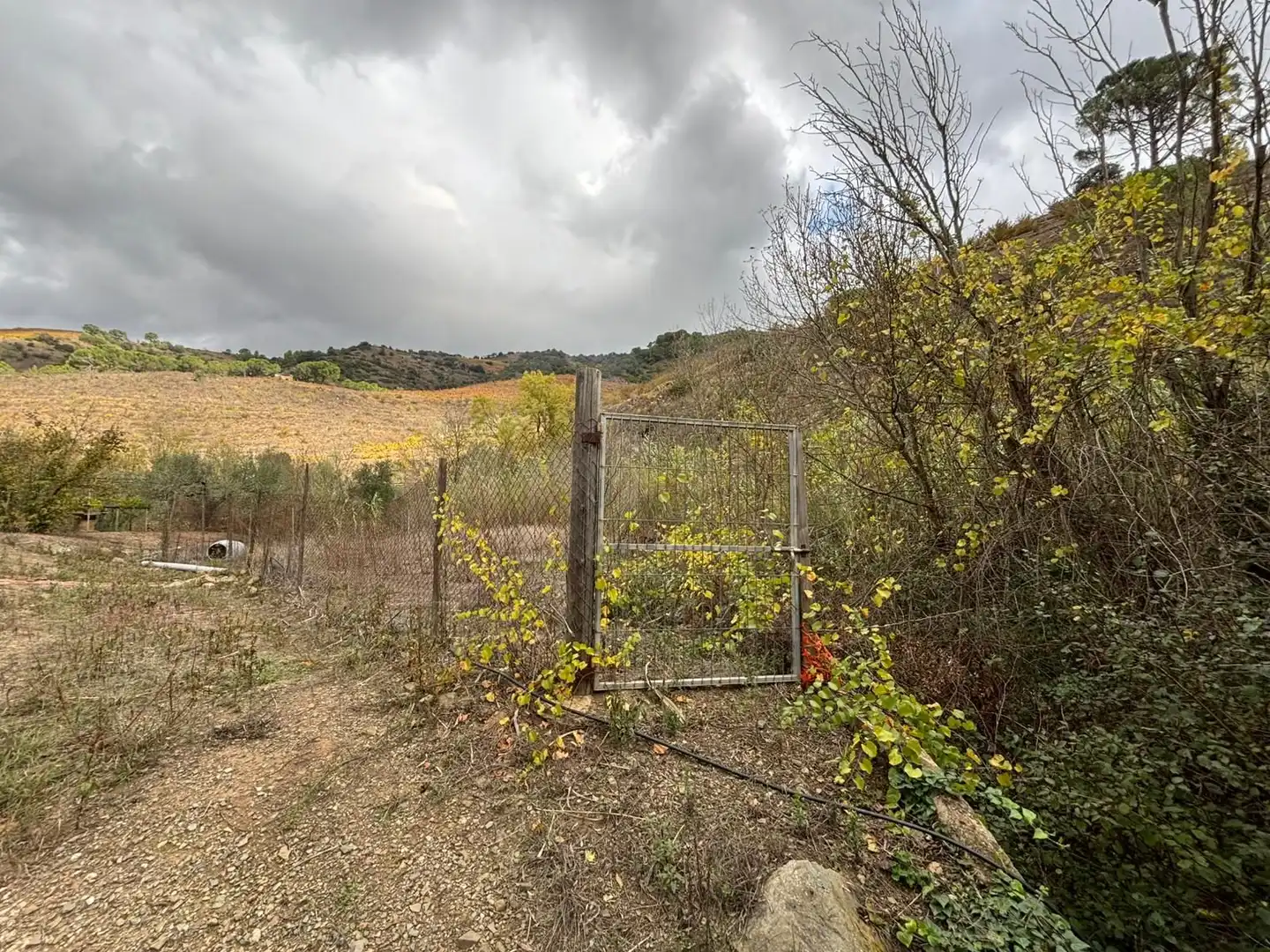 Terreno rústico en venta en Porrera, imagen 19