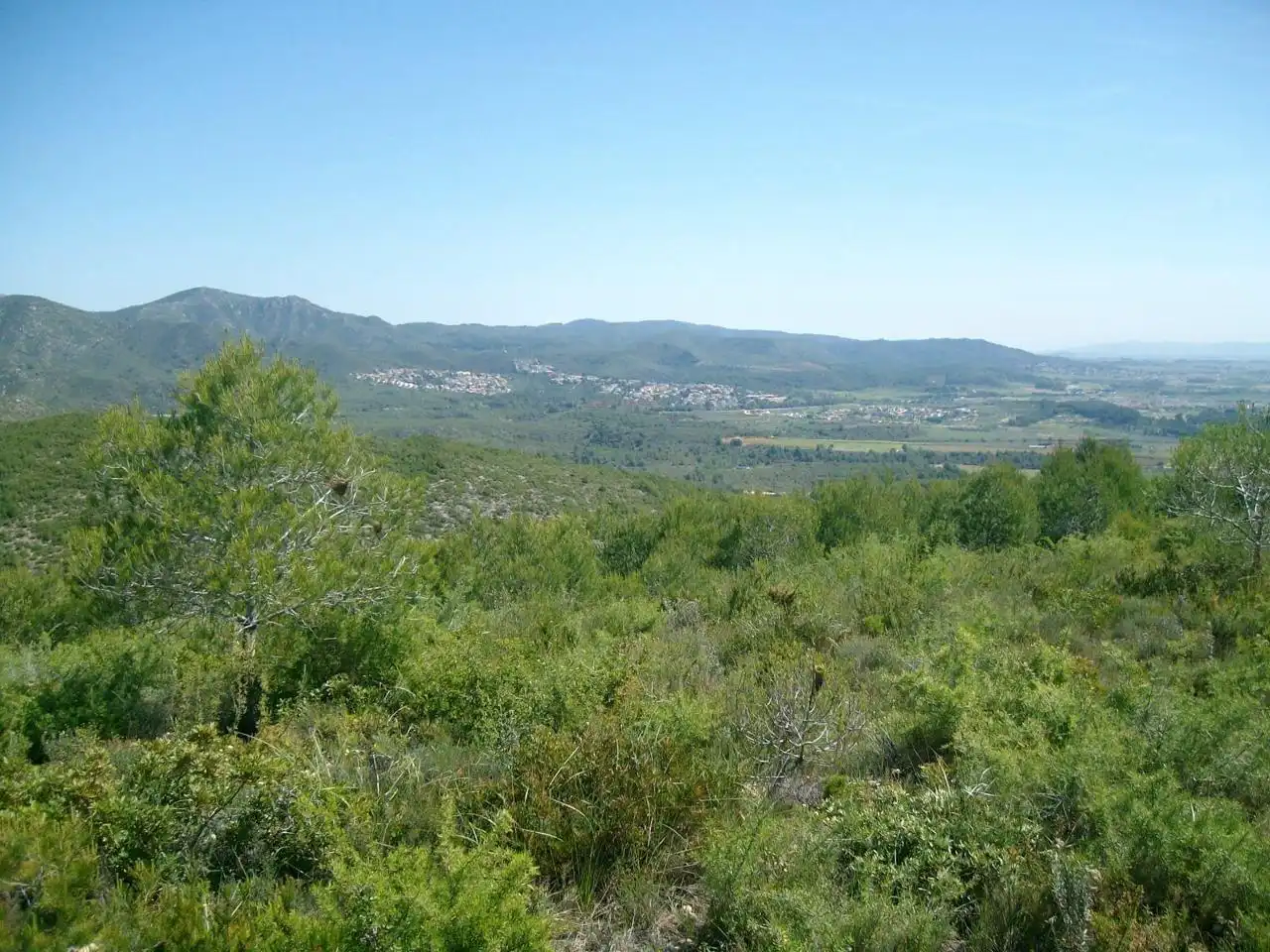 Rustikales Grundstück zum Verkauf in Masllorenç, imagen 6