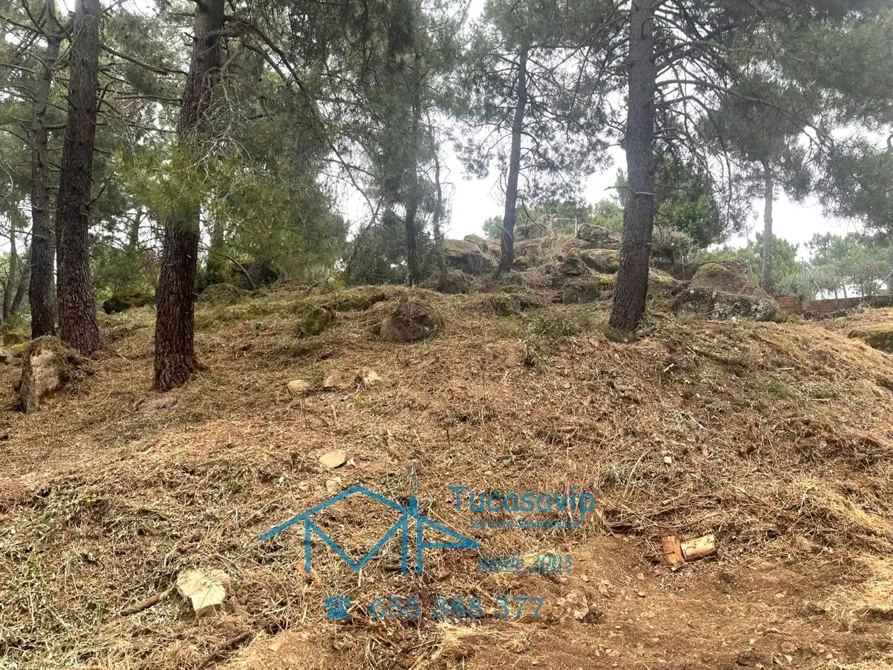 Lands and plots for sale in Cadalso de los Vidrios, imagen 15