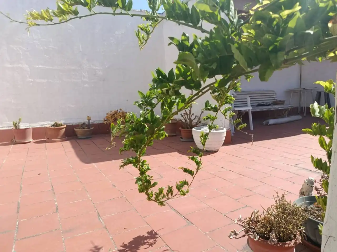 Terrassa de Casa o xalet en venda en  Palma de Mallorca amb Aire condicionat, Calefacció i Jardí privat