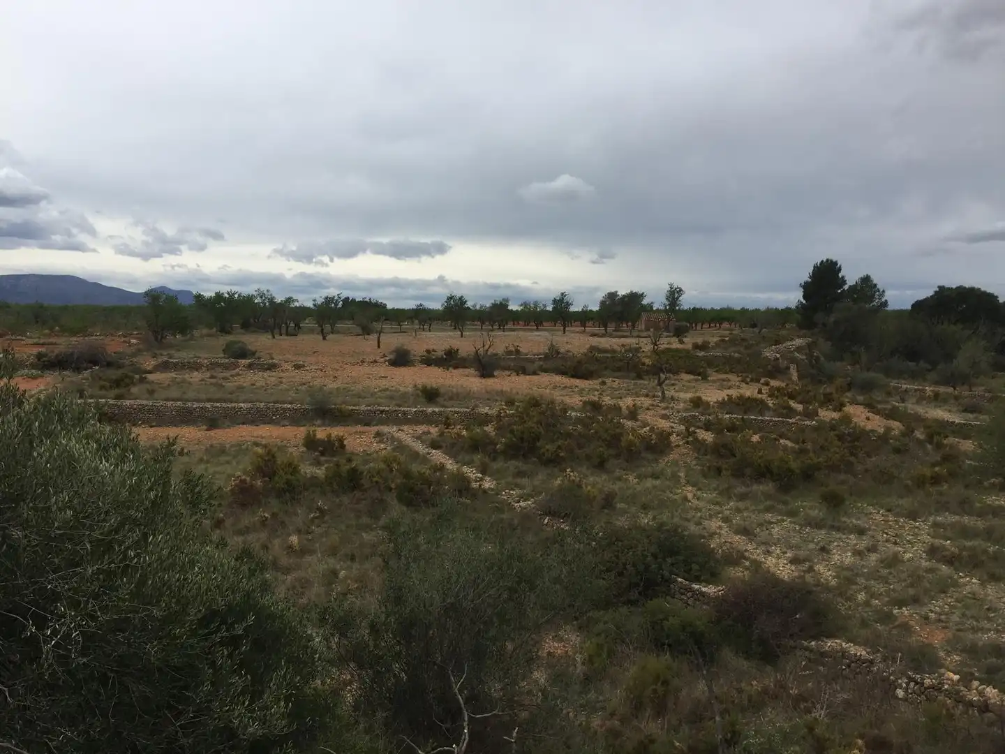 Casa rústica en venda a Vall d'Alba, imagen 4