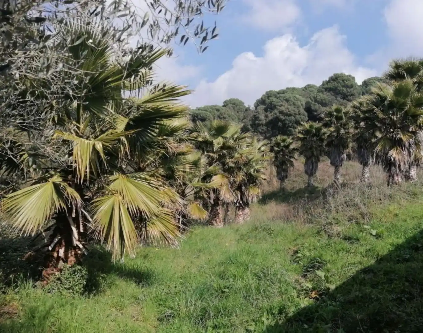 Country house with pool for sale in Calle Can Vila, imagen 33