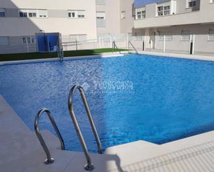 Swimming pool of Flat to rent in San Fernando