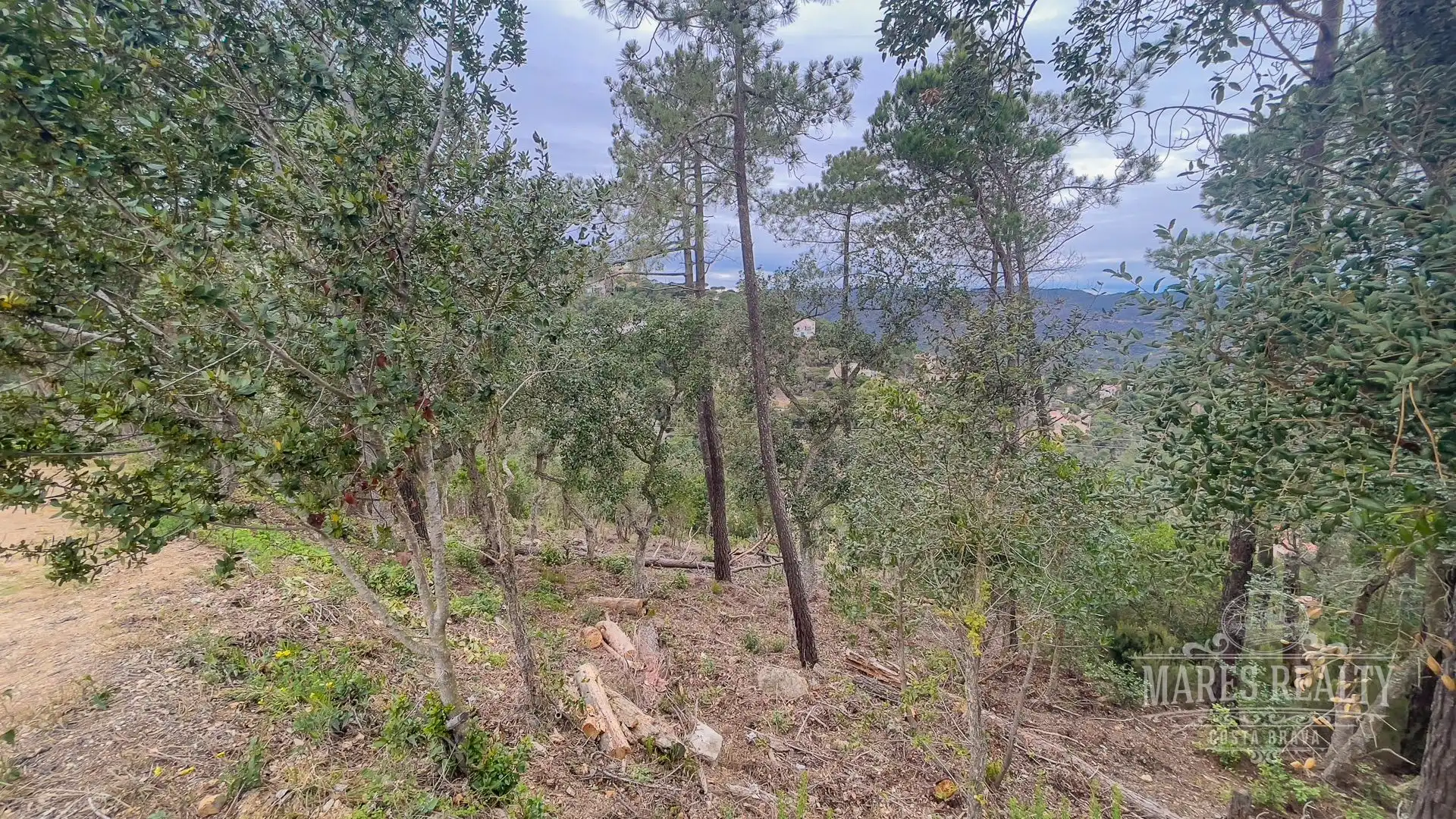 Lands and plots for sale in Serra Brava, imagen 8