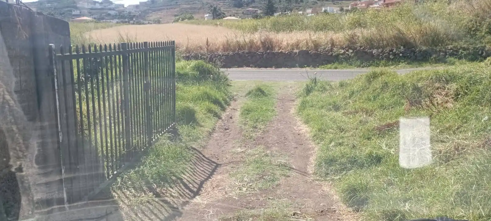 Rural land for sale in Las Mercedes, imagen 2