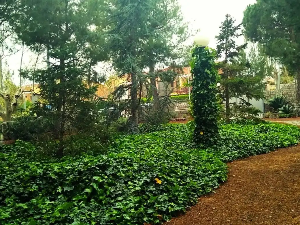 Chalet con jardín en venta en Dels pins 2, imagen 9