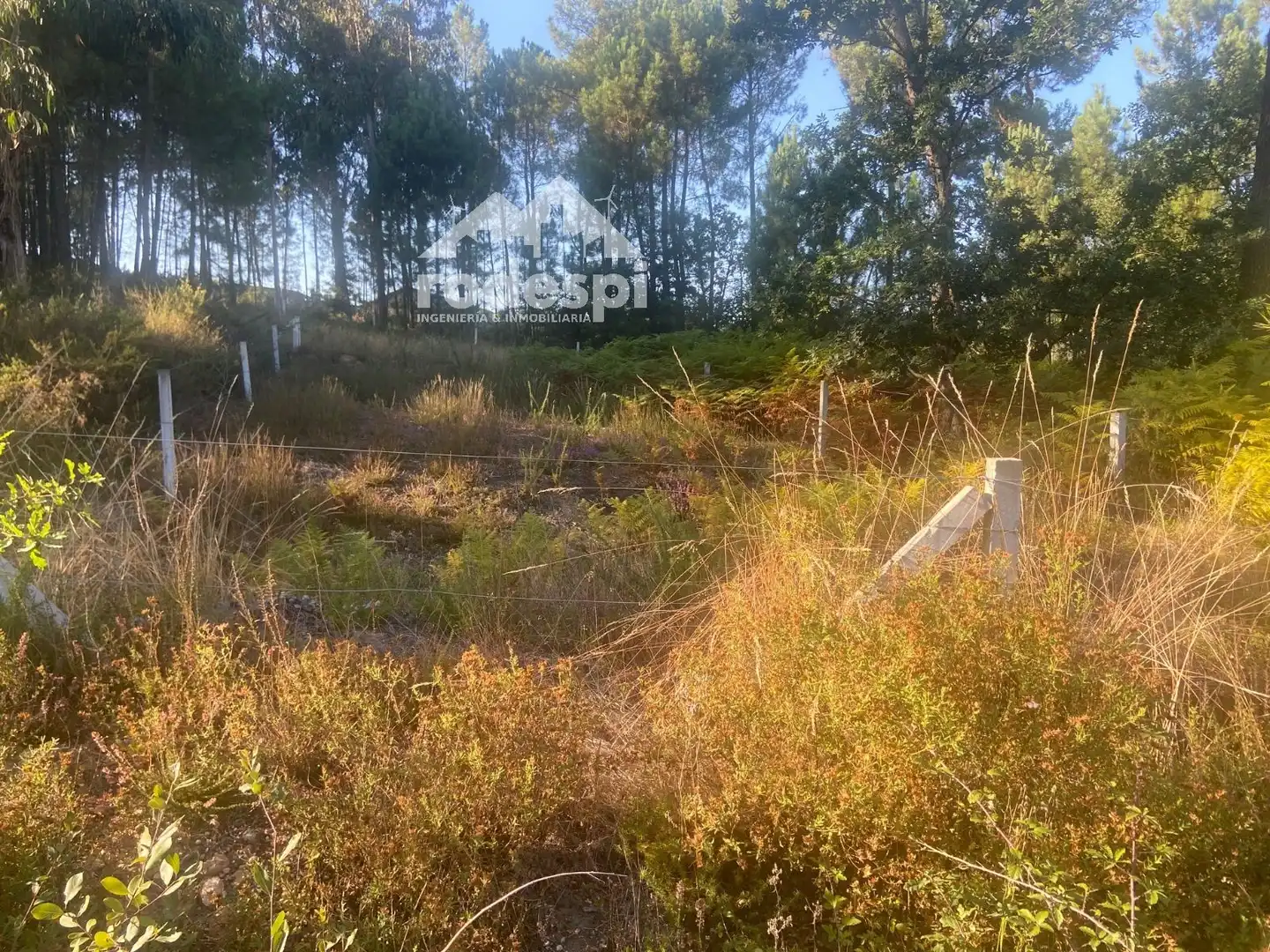 Terreny rústic en venda a Salvaterra de Miño, imagen 2