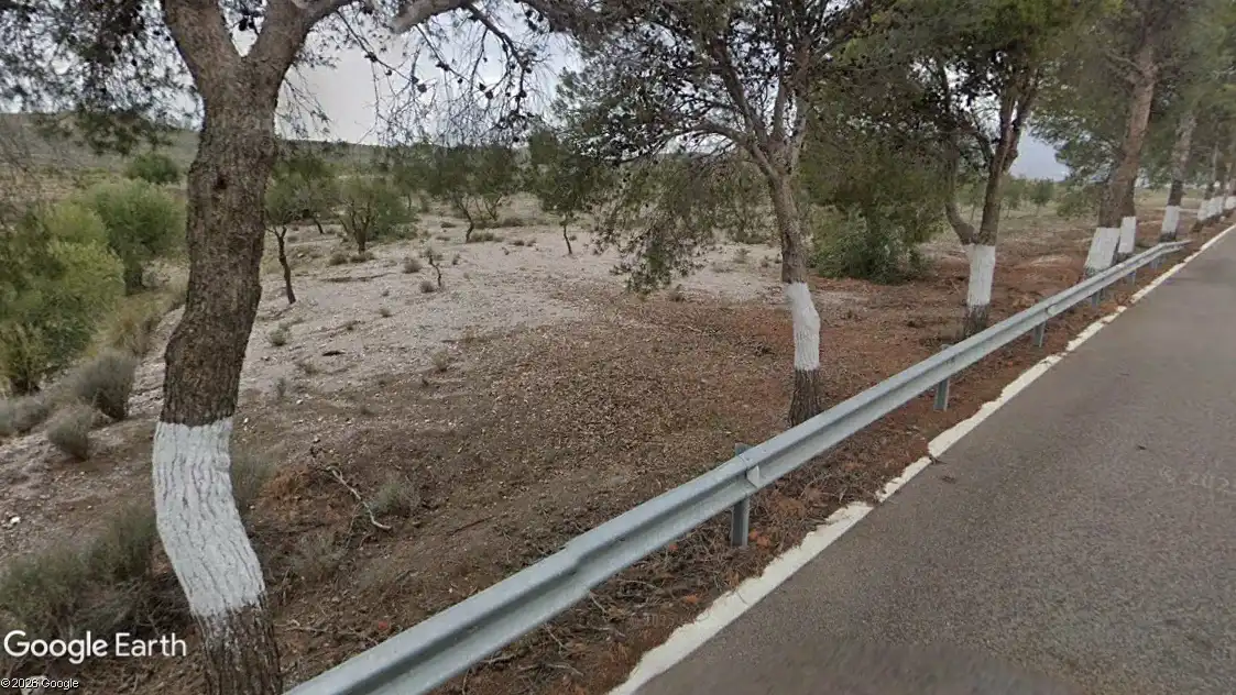 Rustikales Grundstück zum Verkauf in Alboloduy, imagen 9