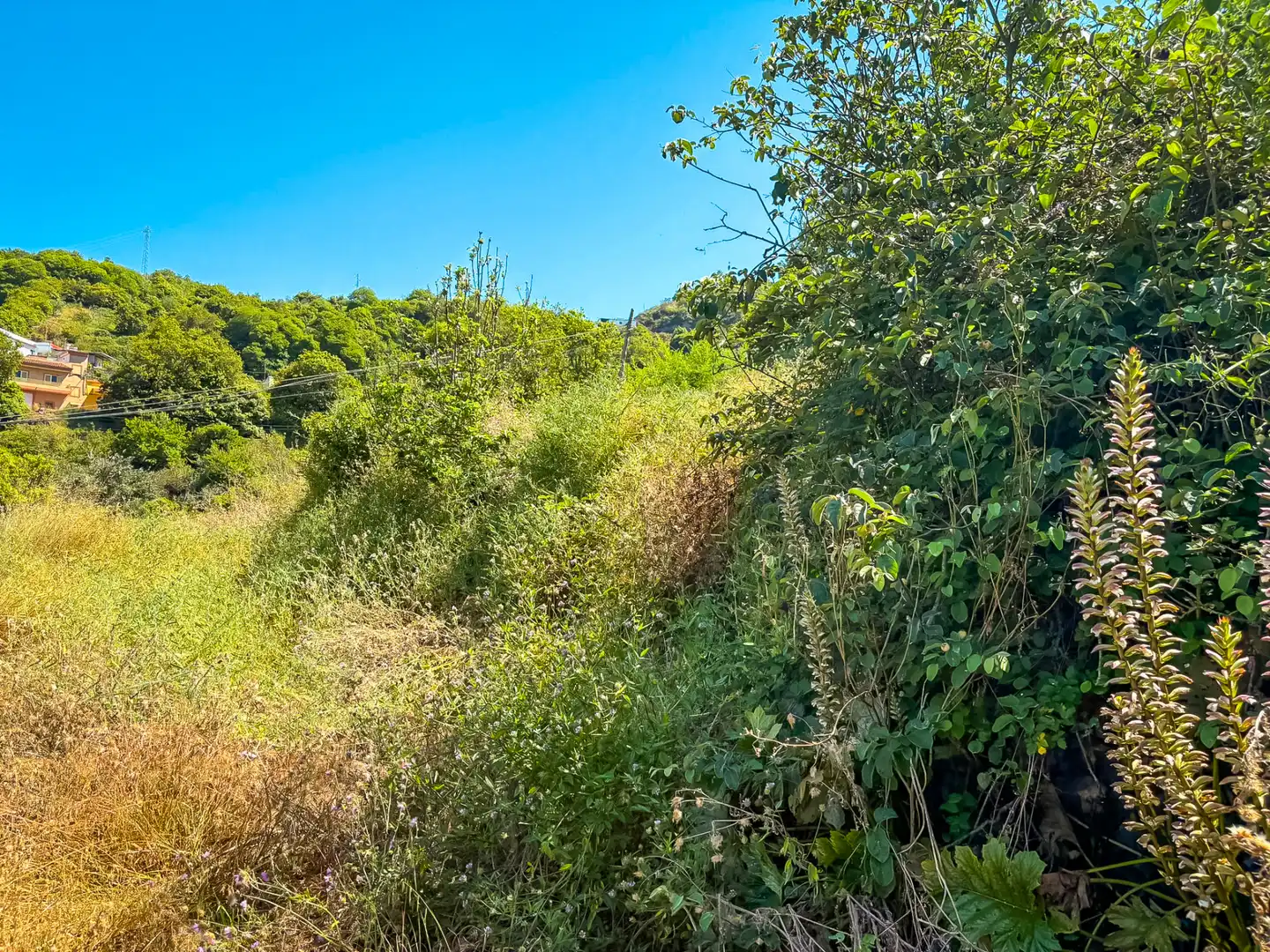 Casa o chalet en venta en Valleseco