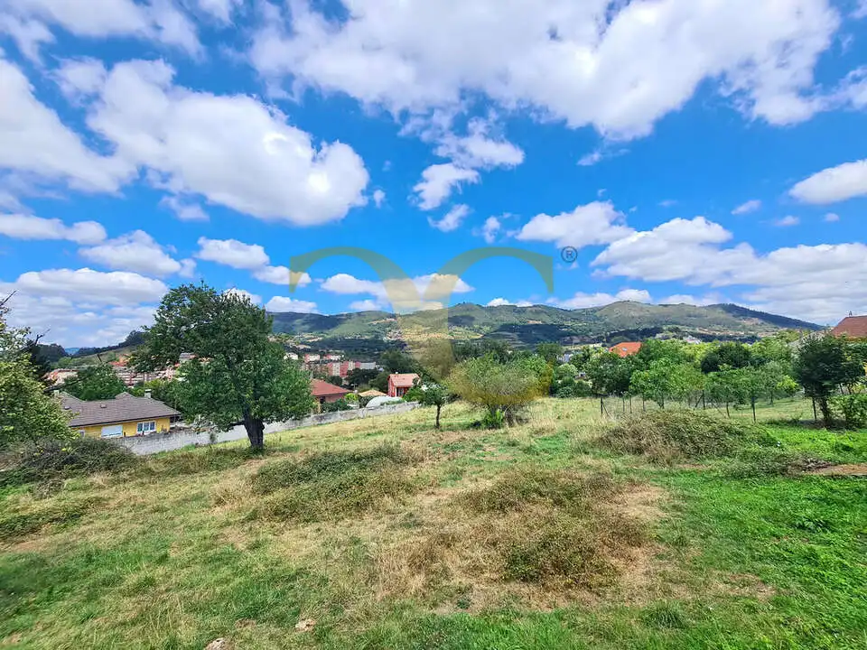 Terreny residencial en venda a El Monticu de Olivares, imagen 6