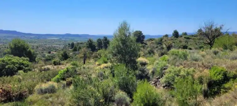 Terrain rustique à vendre à Paraje Sagriguelas, imagen 7