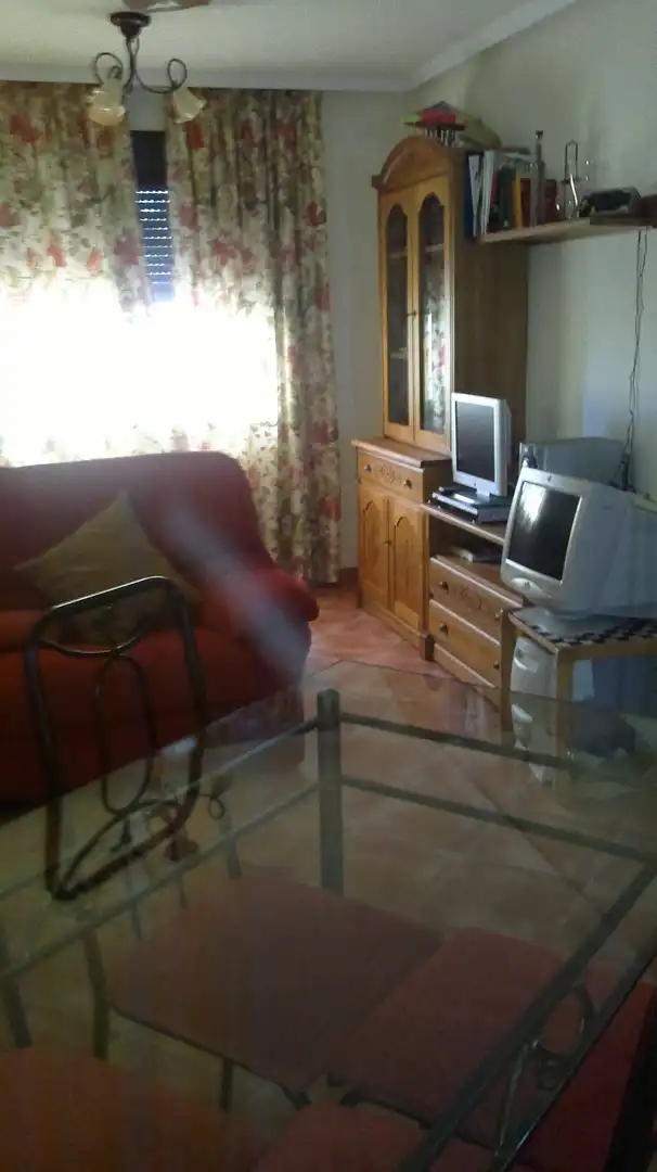 Sala d'estar de Apartament en venda en Casares amb Piscina, Moblat i Internet