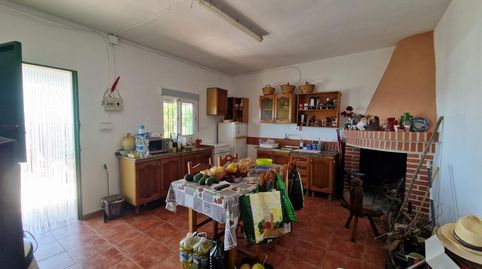 MolvízarFinca Rustica, imatge 5