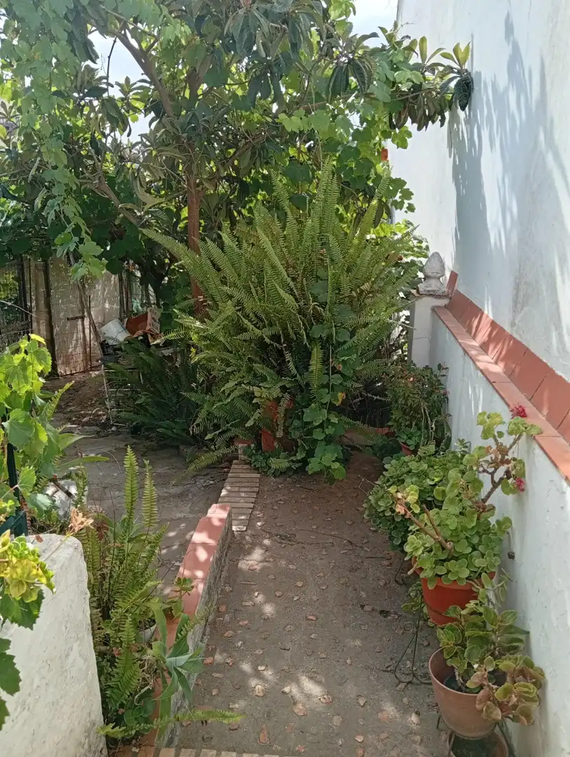 Villa avec jardin à vendre à Ayamonte ciudad, imagen 54