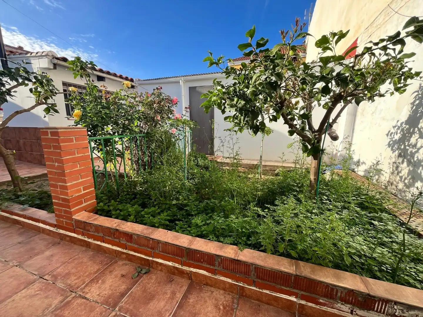 Garden of Detached homes for sale in Málaga  with Private garden, Terrace and Storage room
