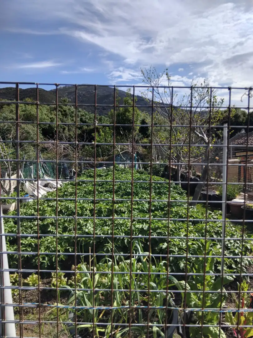 Jardí de Casa o xalet en venda en Tarifa amb Aire condicionat, Jardí privat i Parquet