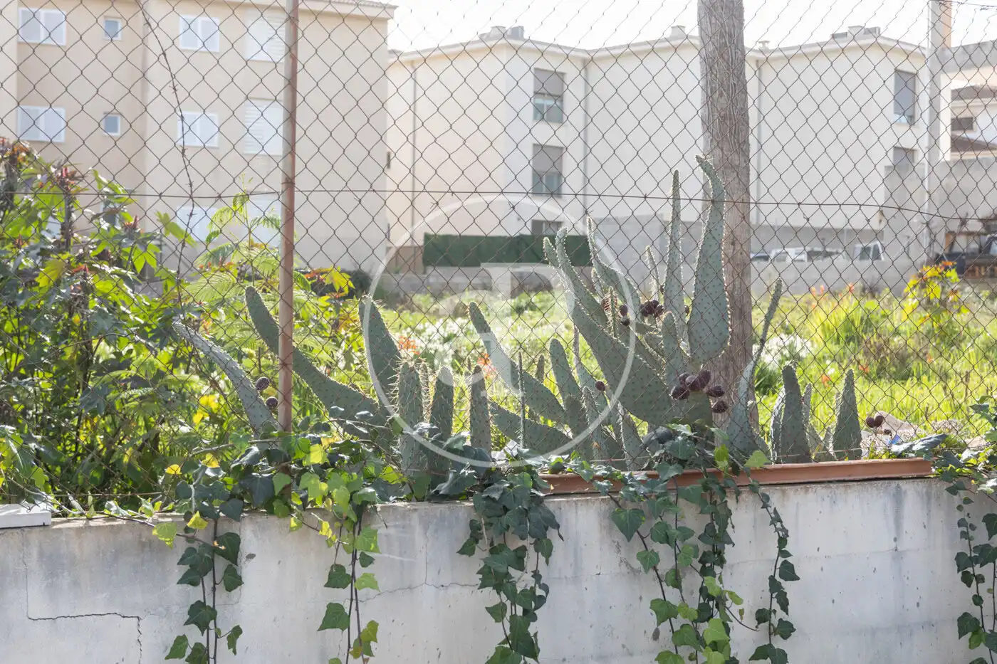 Garten von Einfamilien-Reihenhaus zum Verkauf in Santa Margalida